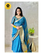 Linen Saree inspired from kanchipattu
